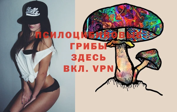 марихуана Белокуриха