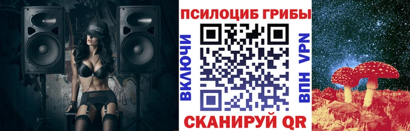 Галлюциногенные грибы Psilocybine cubensis  Белокуриха 
